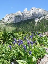 Ausztria - Karintia - Nassfeld - Hotel Forcello